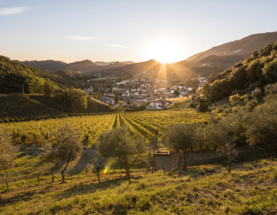 Sweet hills of Veneto - A journey for evey sense